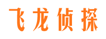 阜平侦探